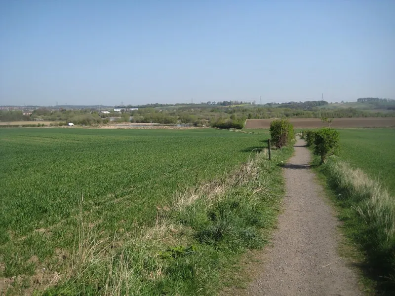 Where Nature Meets Neighbourhood: A Local's Guide to King Hills' Best Green Spaces